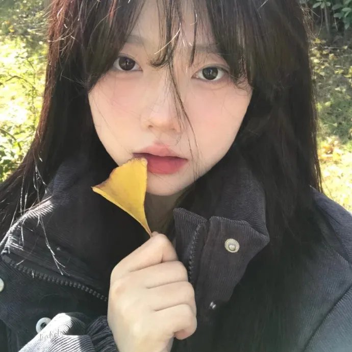 真假王爷
